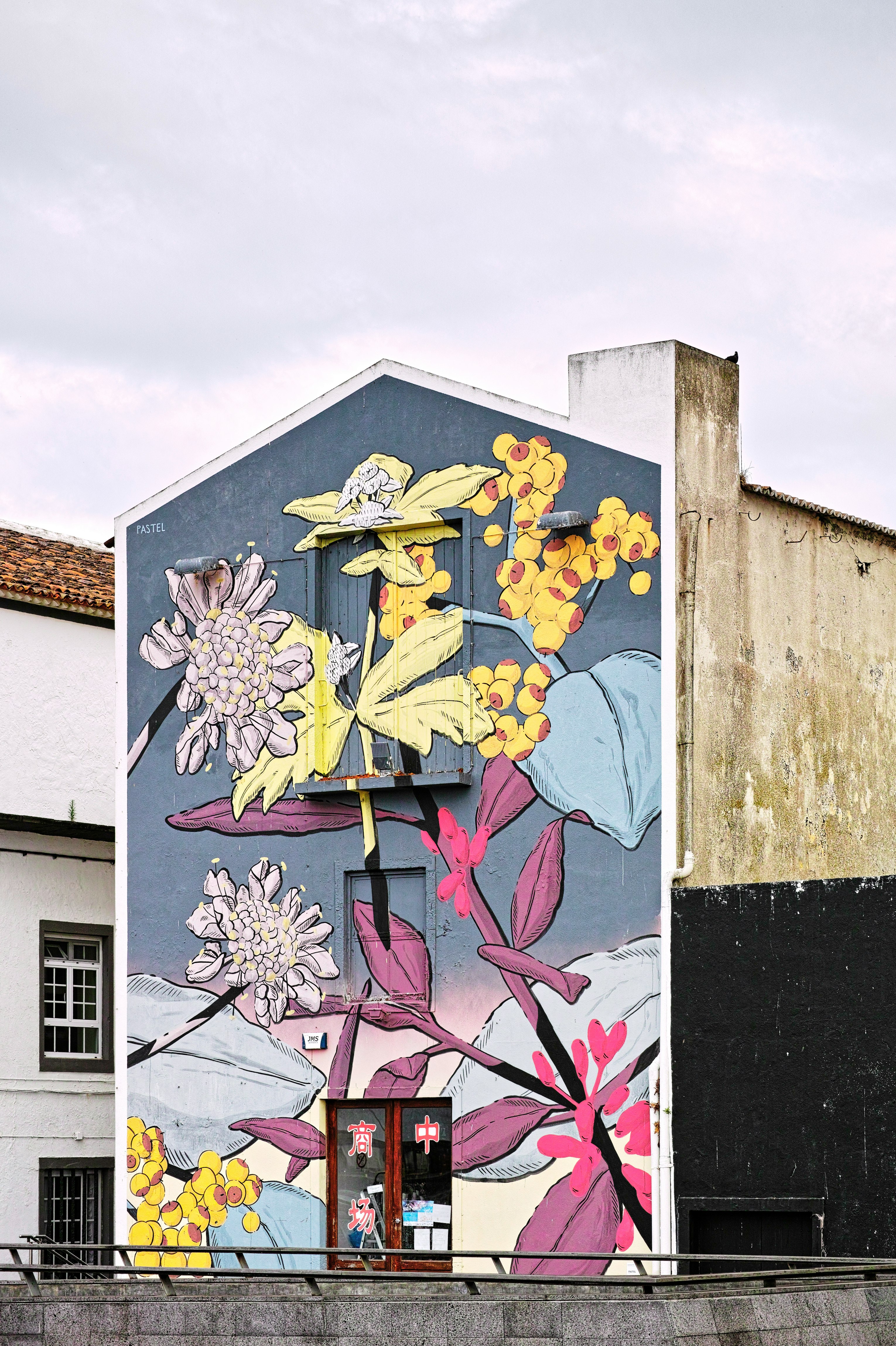 multicolored floral painting on building at daytime